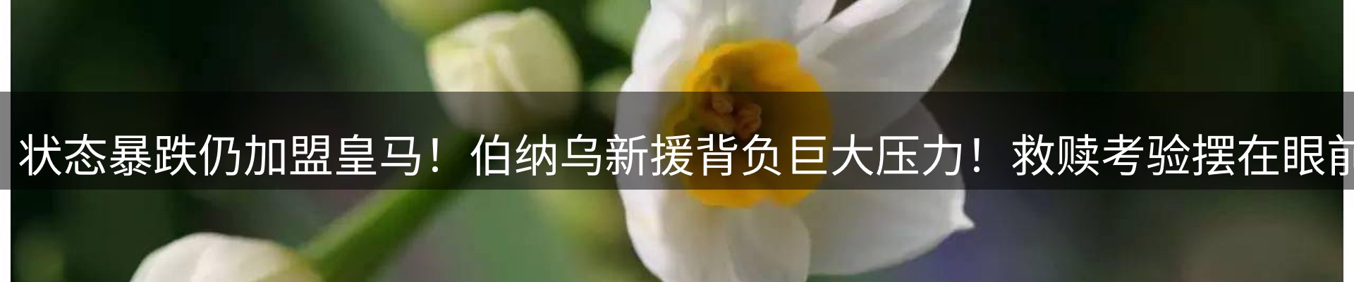 内页banner